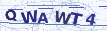 Captcha image – type the characters shown